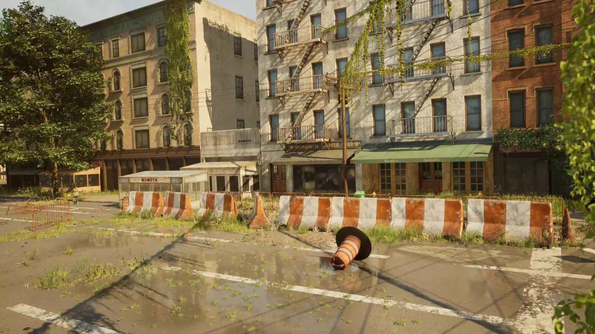 City Environment
